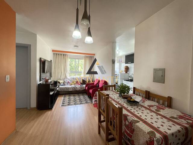 Apartamento para Venda em Caxias do Sul - 2