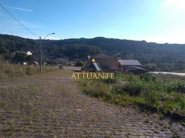 #TR4251 - Área para Venda em Caxias do Sul - RS - 2