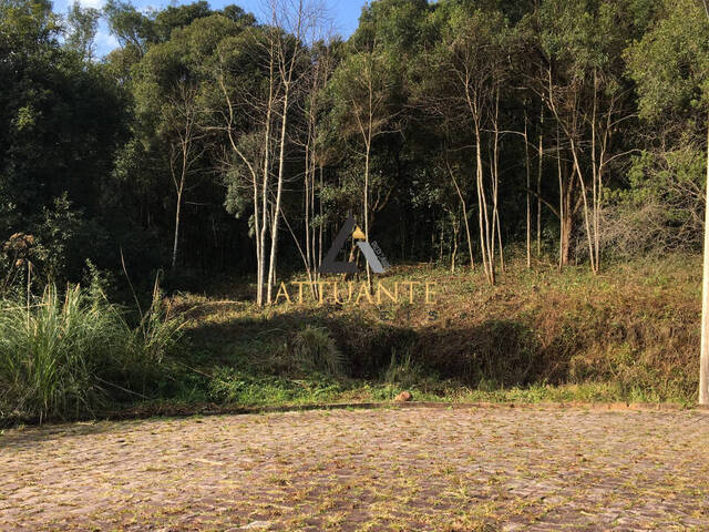 Terreno para Venda em Caxias do Sul - 4