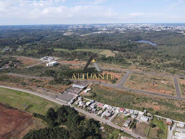 Terreno para Venda em Farroupilha - 5