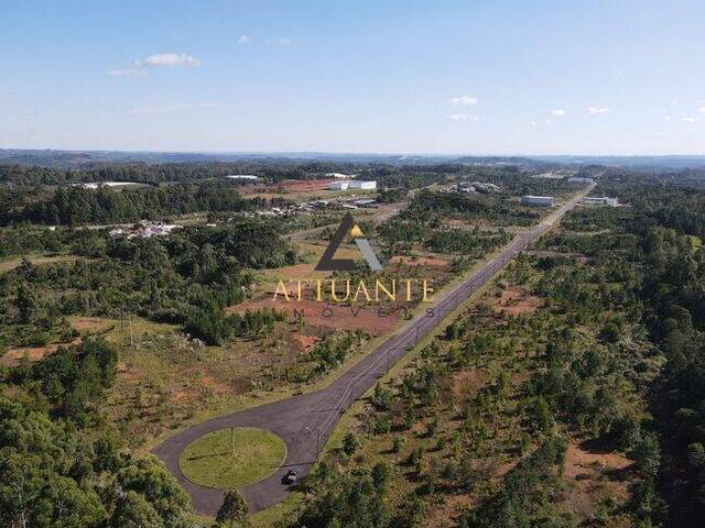 Terreno para Venda em Farroupilha - 4