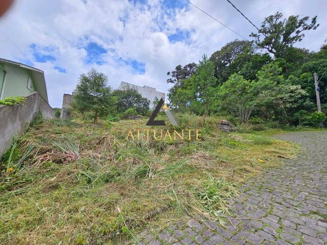 #TE4364 - Terreno para Venda em Caxias do Sul - RS - 2