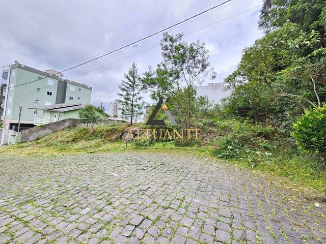 #TE4364 - Terreno para Venda em Caxias do Sul - RS - 3