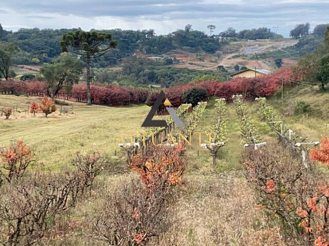 Terreno em condomínio para Venda em Caxias do Sul - 4