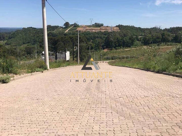 Terreno para Venda em Caxias do Sul - 5