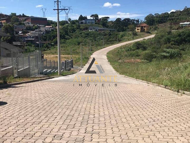 Terreno para Venda em Caxias do Sul - 4