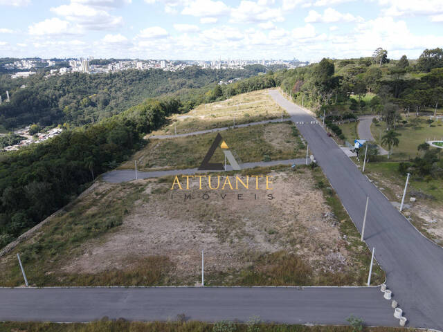 Terreno para Venda em Caxias do Sul - 5