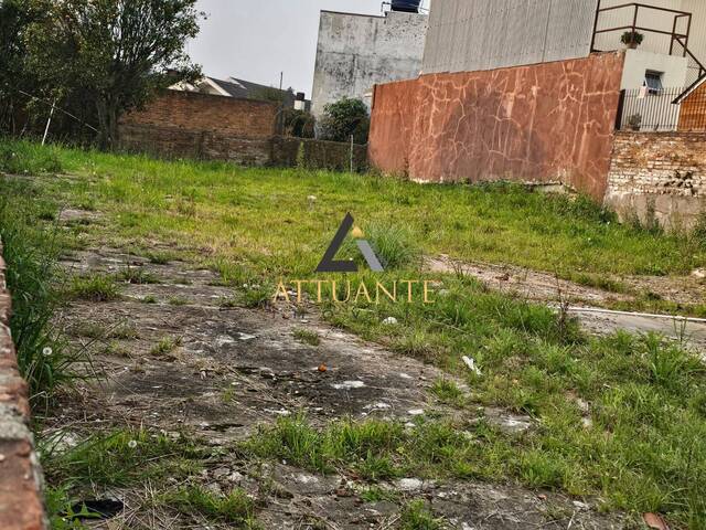 #TR4438 - Área para Venda em Caxias do Sul - RS - 2