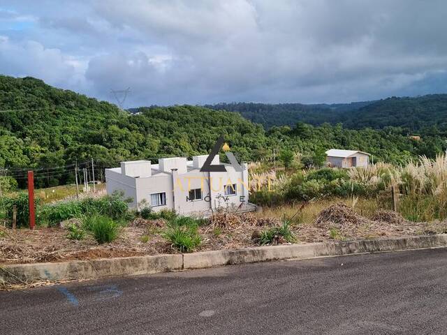 Terreno para Venda em Caxias do Sul - 4