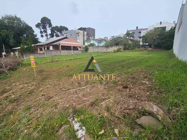 #TR4483 - Área para Venda em Caxias do Sul - RS - 3