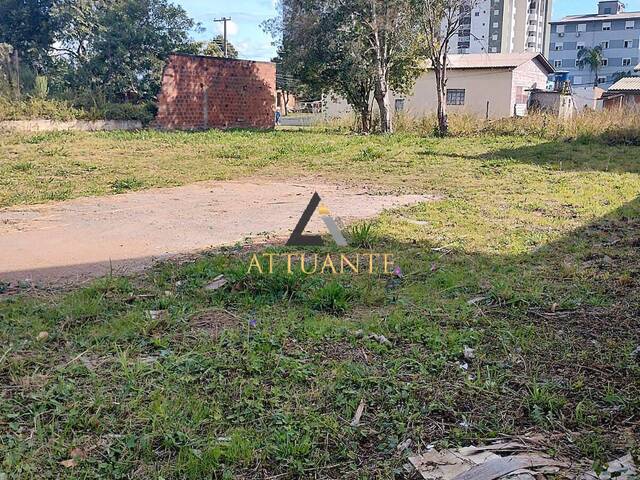 Venda em Nossa Senhora do Rosário - Caxias do Sul