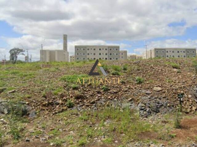Venda em Desvio Rizzo - Caxias do Sul