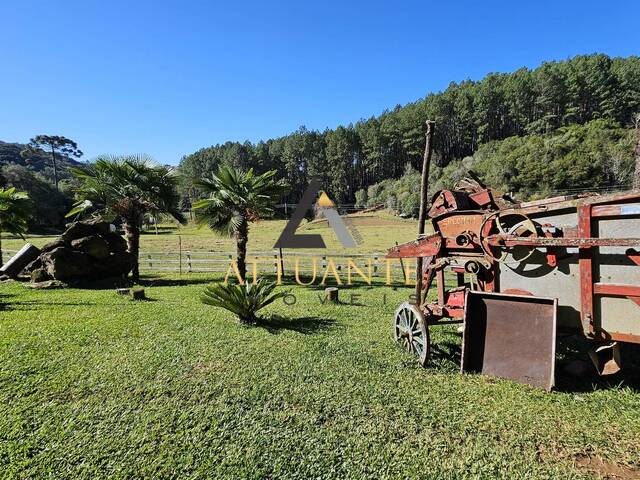 Venda em Vila Seca - Caxias do Sul