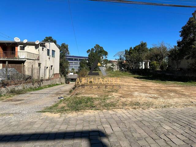 Terreno para Venda em Caxias do Sul - 5
