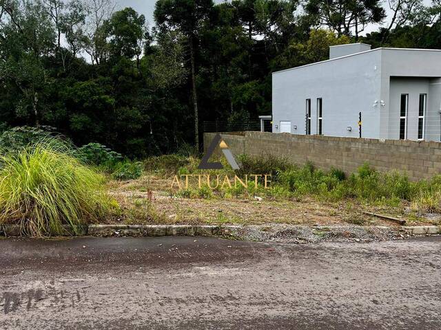 Terreno para Venda em Caxias do Sul - 4