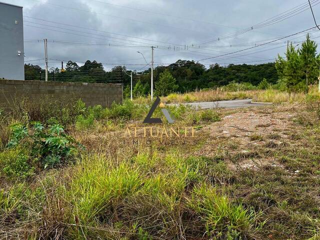 #TR4580 - Terreno para Venda em Caxias do Sul - RS - 2