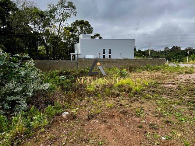 #TR4580 - Terreno para Venda em Caxias do Sul - RS - 3
