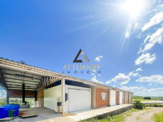 #PA4590 - Pavilhão para Venda em Antônio Prado - RS - 2