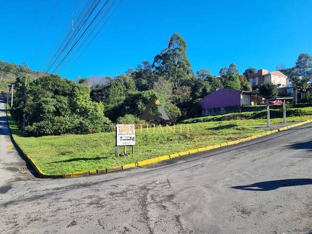 Venda em Nossa Senhora das Graças - Caxias do Sul