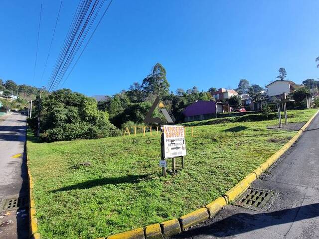 #TR4599 - Terreno para Venda em Caxias do Sul - RS - 2