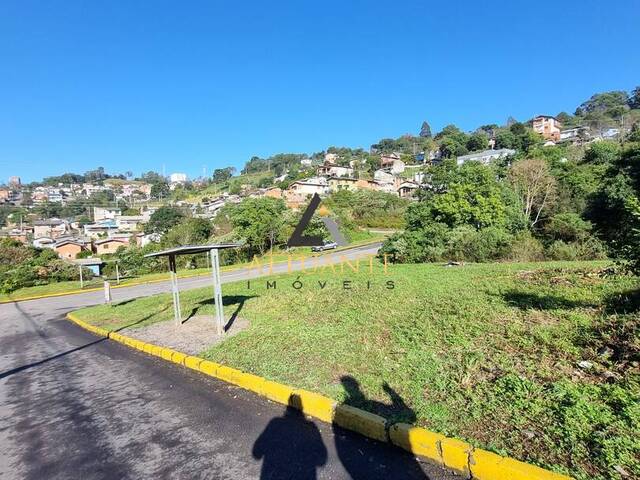 #CS4600 - Terreno para Venda em Caxias do Sul - RS - 2