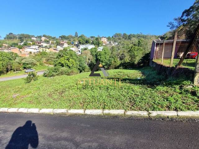 Terreno para Venda em Caxias do Sul - 4
