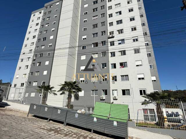 Venda em Reolon - Caxias do Sul