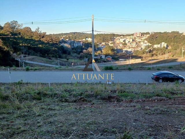 #TR4715 - Área para Venda em Caxias do Sul - RS - 3