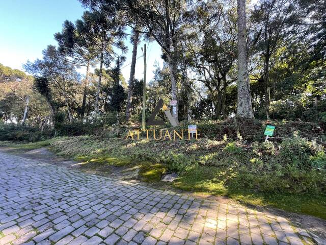 Terreno para Venda em Caxias do Sul - 4