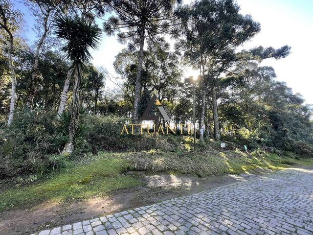Terreno para Venda em Caxias do Sul - 5