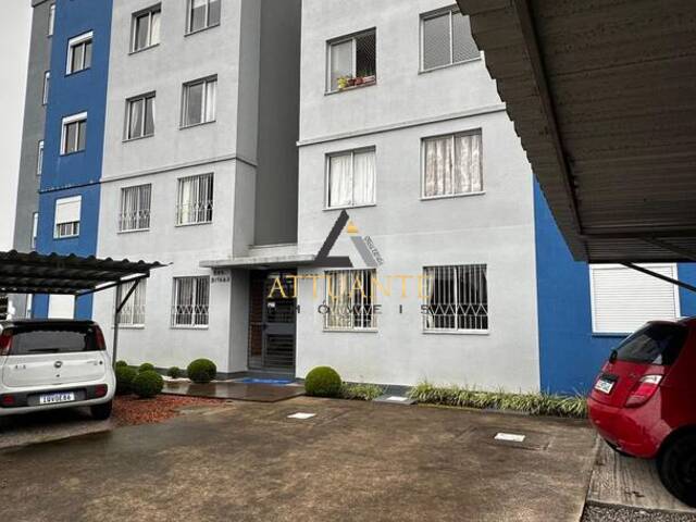 Venda em Santa Fé - Caxias do Sul