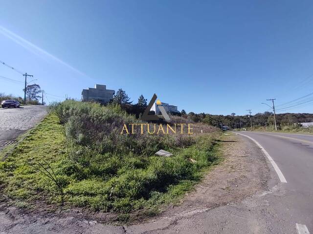 #TR4736 - Área para Venda em Caxias do Sul - RS - 1