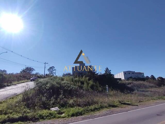 #TR4736 - Área para Venda em Caxias do Sul - RS - 2