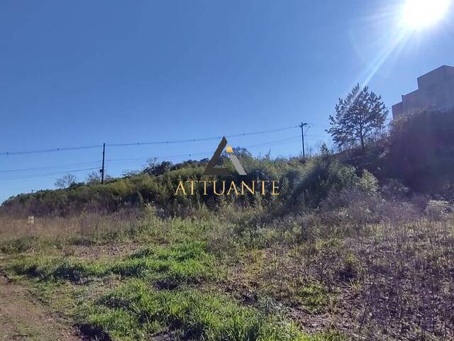 Terreno para Venda em Caxias do Sul - 5