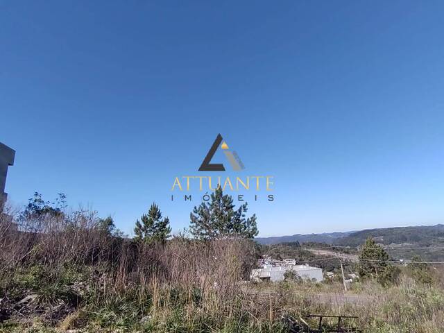 Terreno para Venda em Caxias do Sul - 4