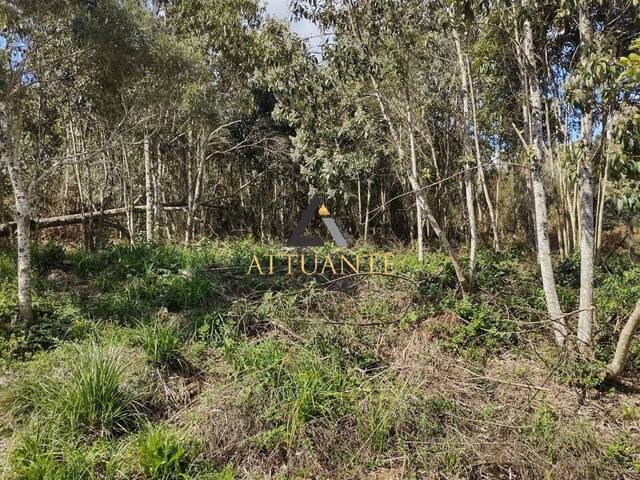 Terreno para Venda em Caxias do Sul - 4