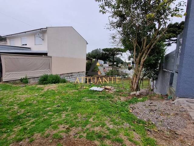 Terreno para Venda em Caxias do Sul - 4