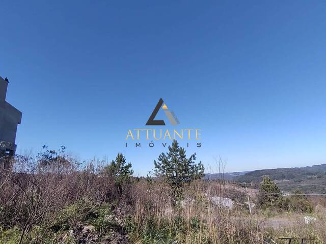 Terreno para Venda em Caxias do Sul - 4