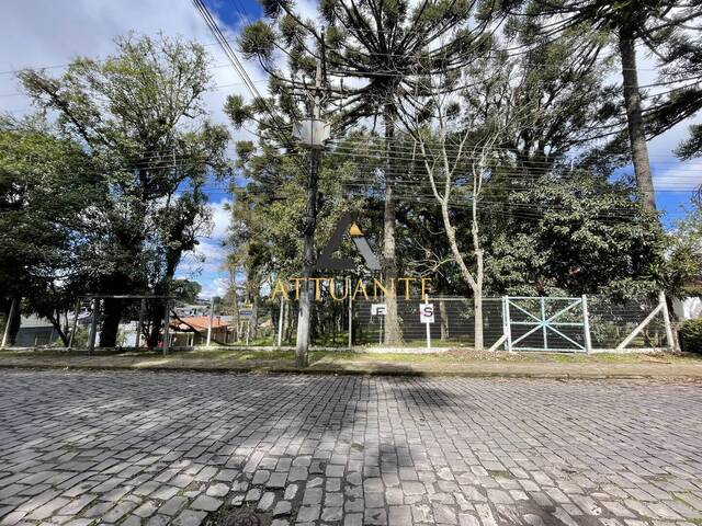 #TR4749 - Área para Venda em Caxias do Sul - RS - 1
