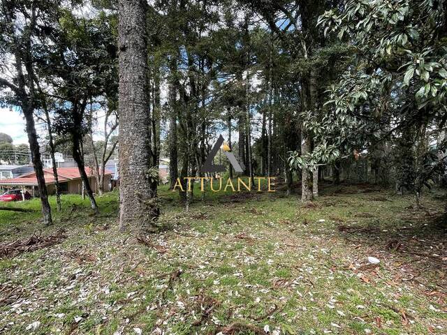 #TR4749 - Área para Venda em Caxias do Sul - RS - 3