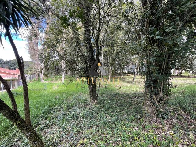 Terreno para Venda em Caxias do Sul - 4