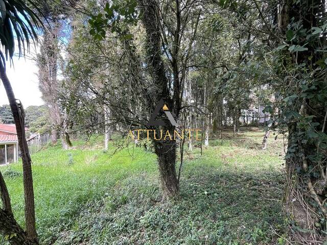Terreno para Venda em Caxias do Sul - 5