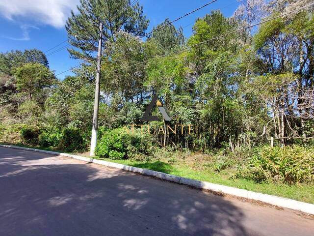 #TR4752 - Terreno para Venda em São Francisco de Paula - RS - 3