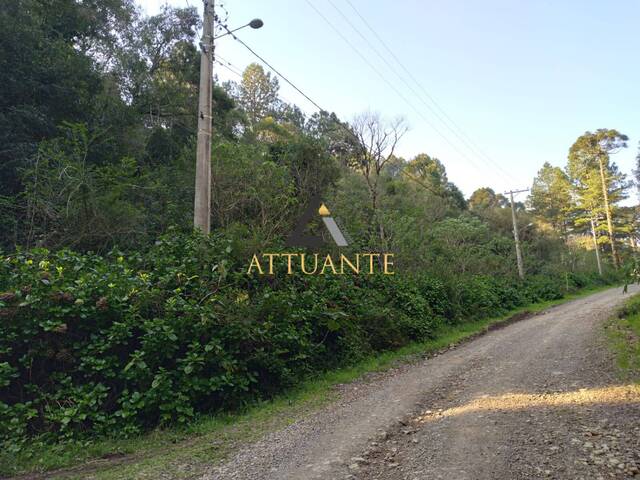 Terreno para Venda em São Francisco de Paula - 5