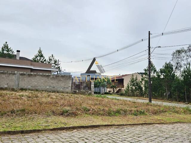 #TR4753 - Terreno para Venda em Caxias do Sul - RS - 1