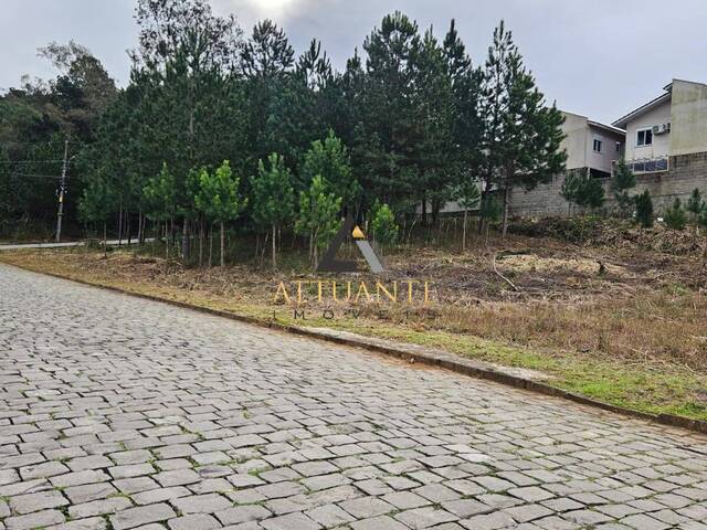Terreno para Venda em Caxias do Sul - 4