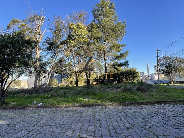 Área para Venda em Caxias do Sul - 4