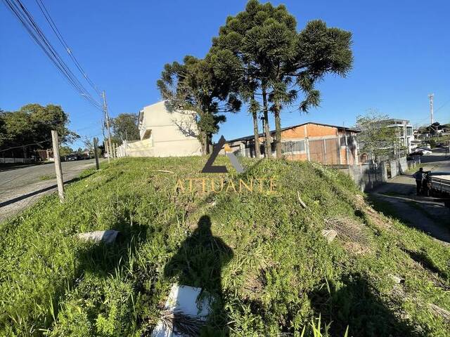 Venda em Bela Vista - Caxias do Sul
