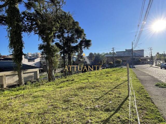 Área para Venda em Caxias do Sul - 4