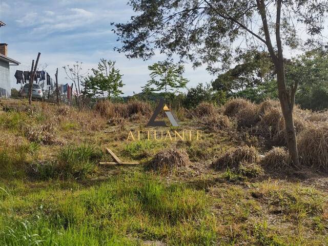 #TR4790 - Terreno para Venda em Caxias do Sul - RS - 2